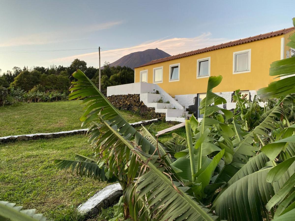 Sao Joao Casa Do Almance别墅 外观 照片