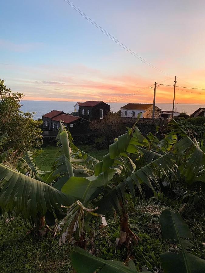Sao Joao Casa Do Almance别墅 外观 照片
